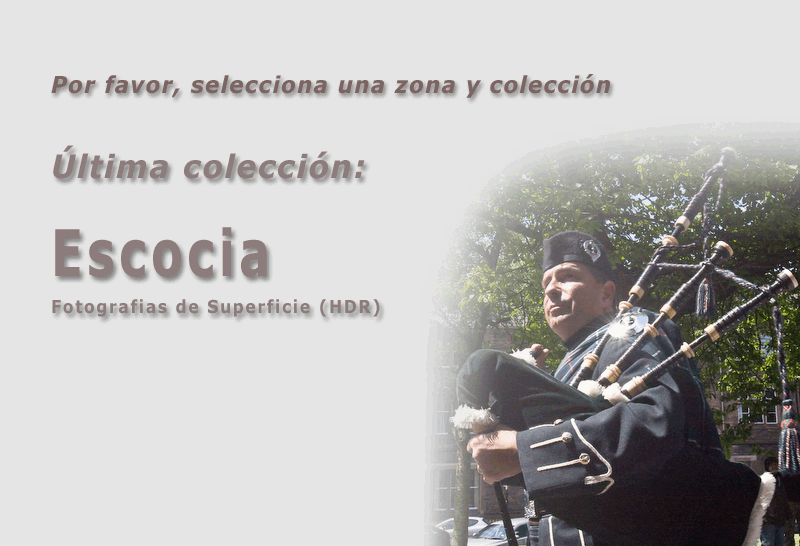 Selecciona una colección