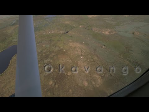 Miniatura del vídeo Okavango